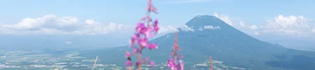 Mount Yotei Summer