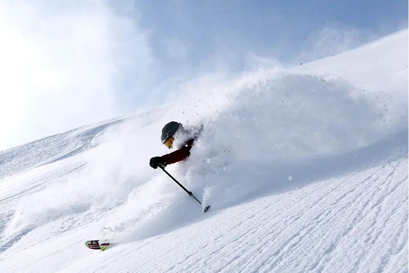 Niseko powder skiing