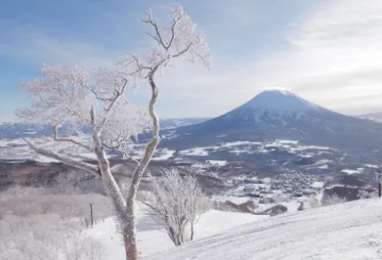 写真：雪景色