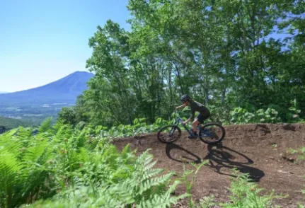 写真：マウンテンバイクに乗る男性