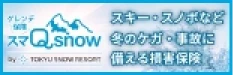 スマQ snow スキー・スノボなどの損害保険