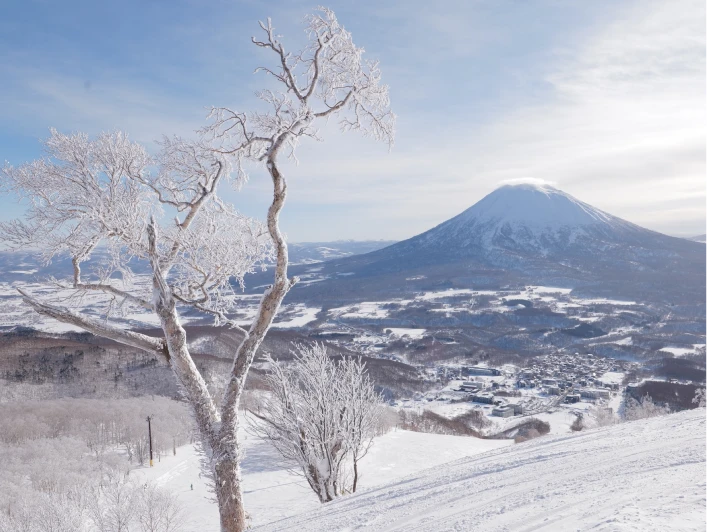 雪の景色