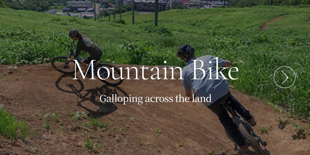 Mountain Bike Galloping across the land