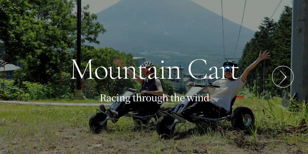 Mountain Cart Racing through the wind