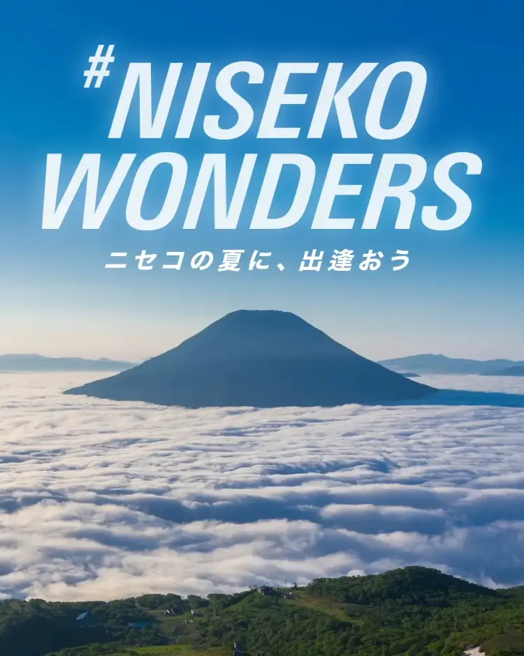 ふるさと納税 「北海道 ニセコ東急グラン・ヒラフスキー場