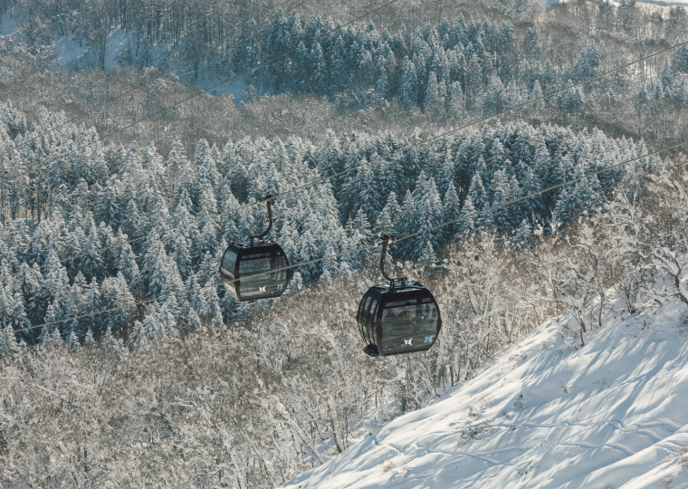 雪の森を進むエースゴンドラ